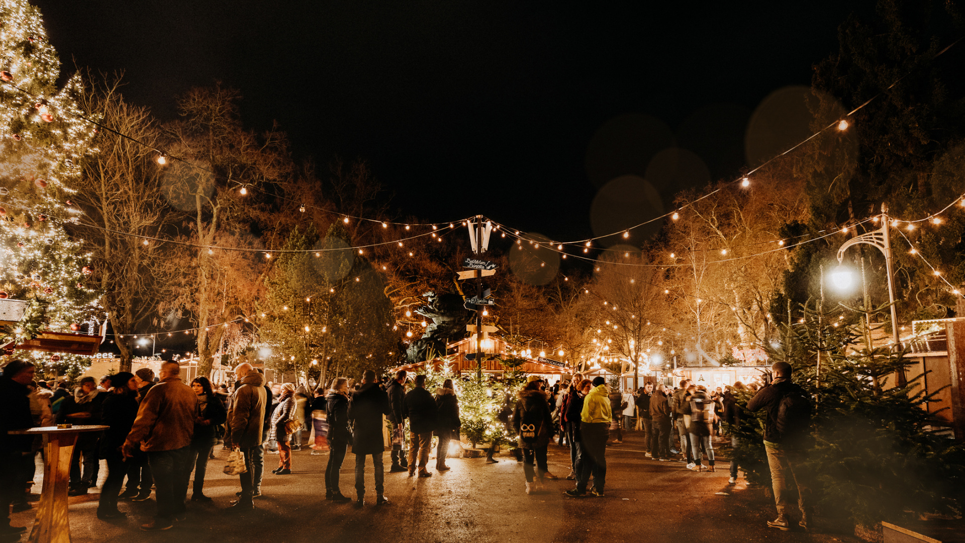 Sternchenmarkt Christmas market is one of the most magical Christmas markets in Düsseldorf